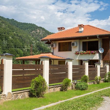 Guest House Vitora Ribaritsa Kültér fotó